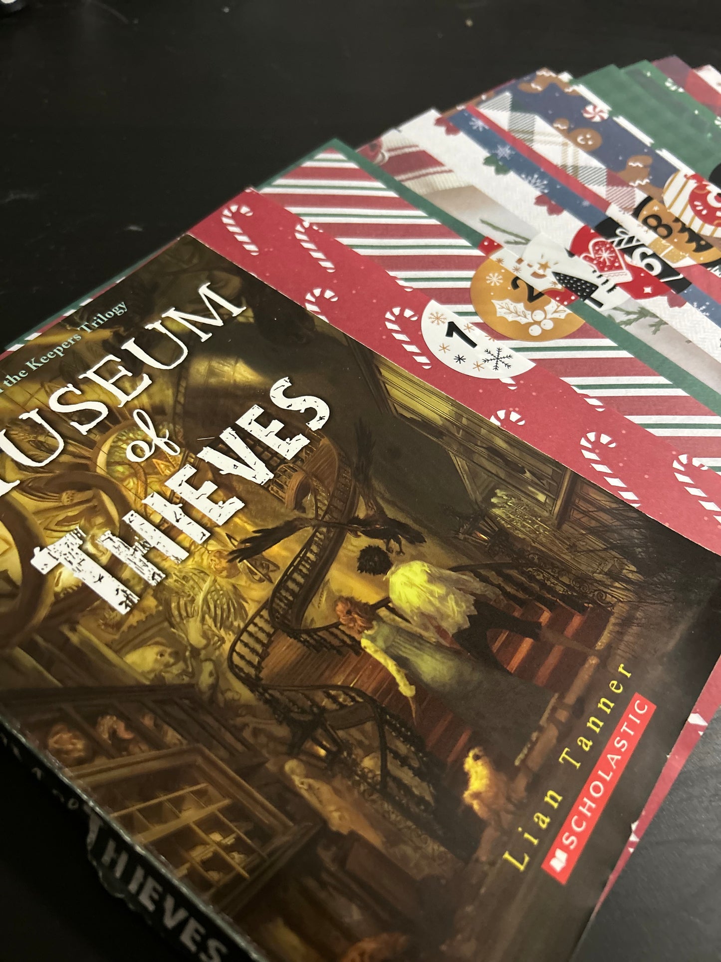 12 Days of Christmas Book Adventure: Young Adult (ages 13+)