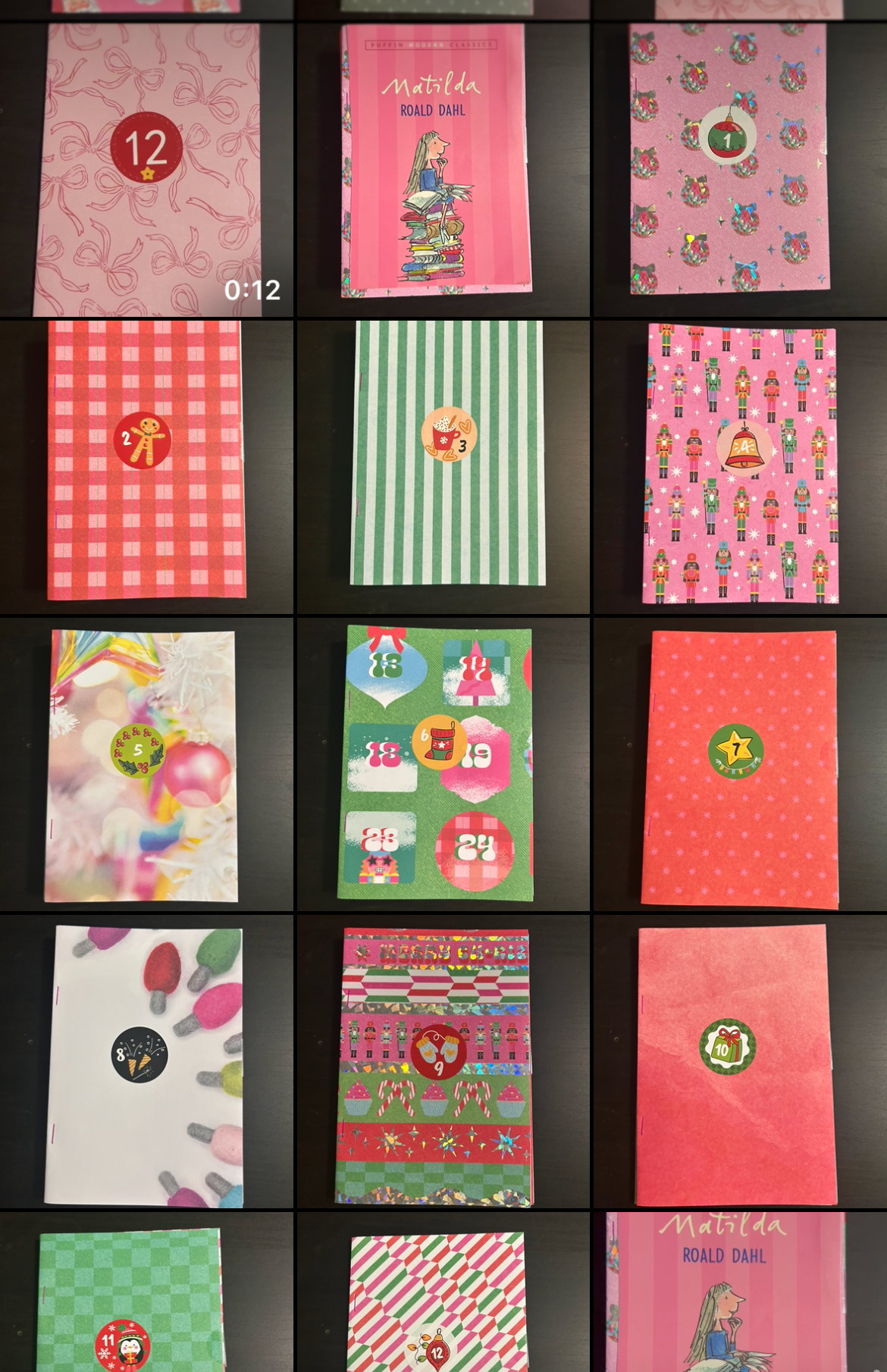 12 Days of Christmas Book Adventure (Ages 8-12)