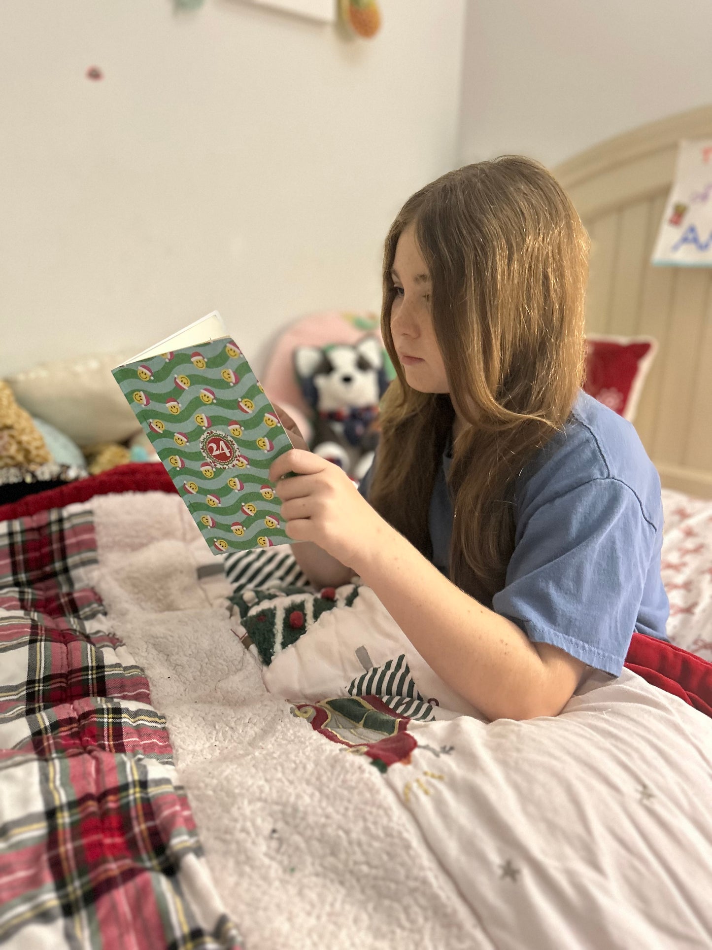 12 Days of Christmas Book Adventure (Ages 8-12)