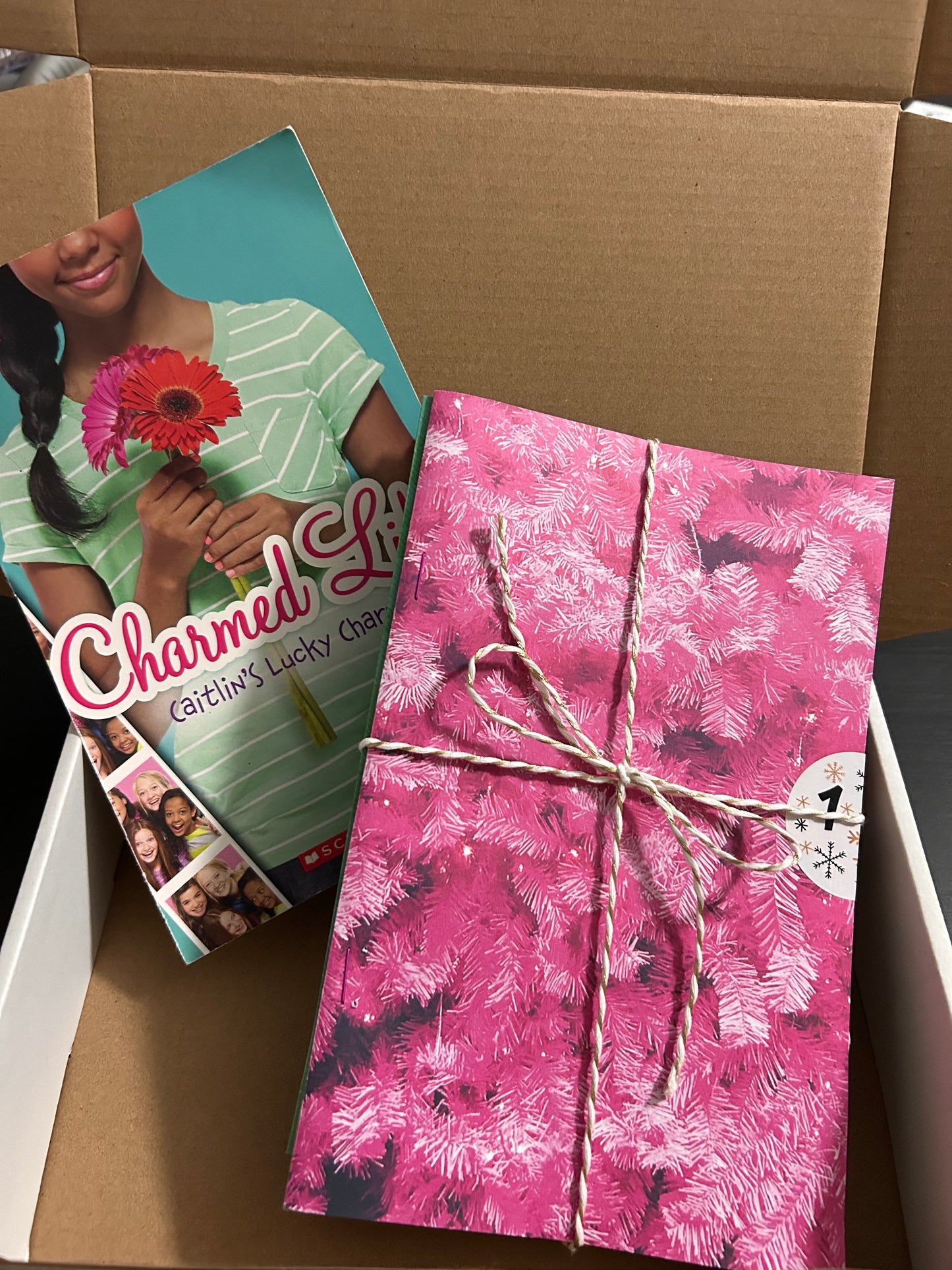 12 Days of Christmas Book Adventure: Young Adult (ages 13+)