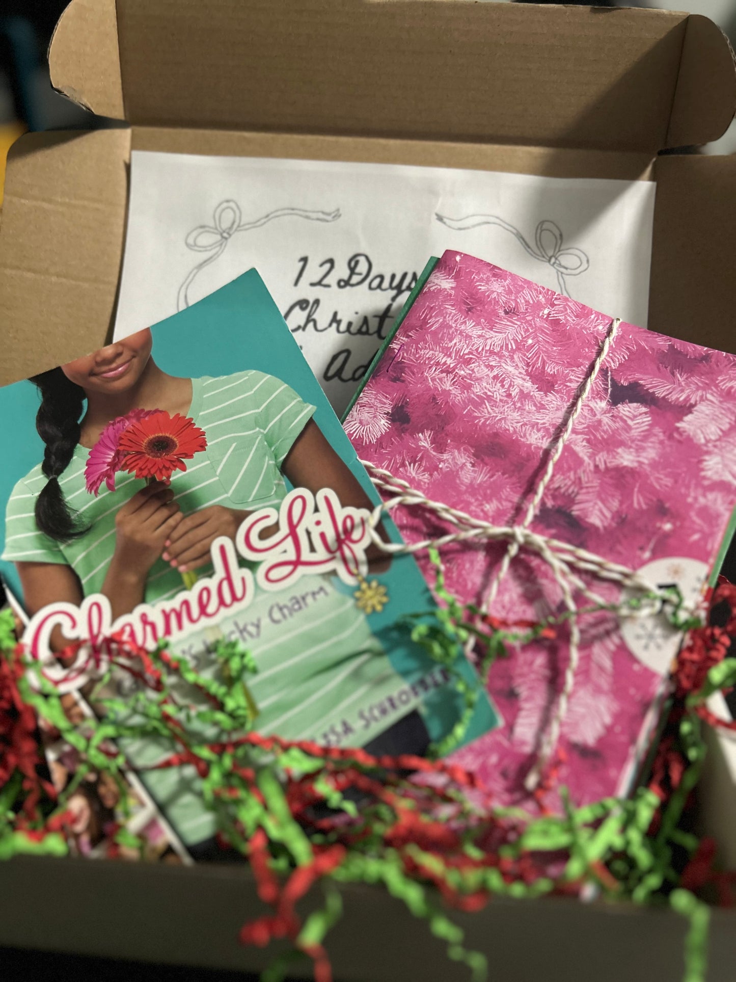 12 Days of Christmas Book Adventure (Ages 8-12)