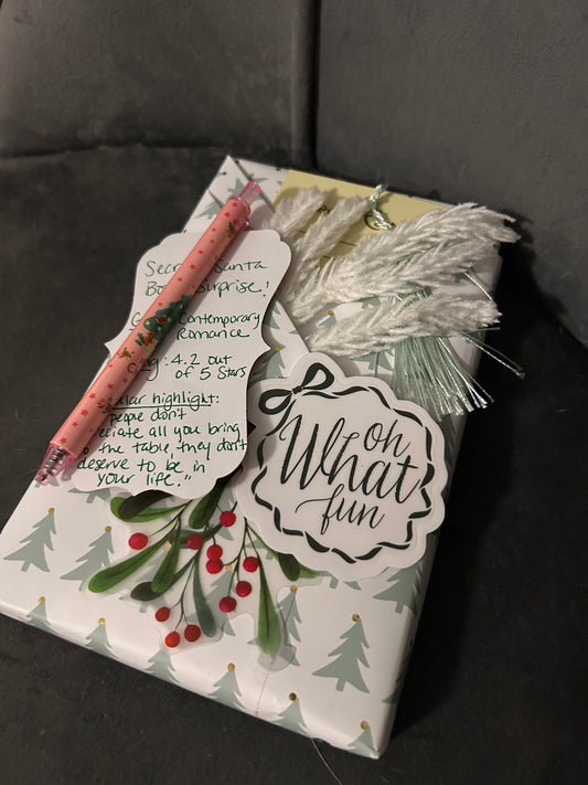 Santa’s Surprise/Blind Date with a Book: Holiday Edition