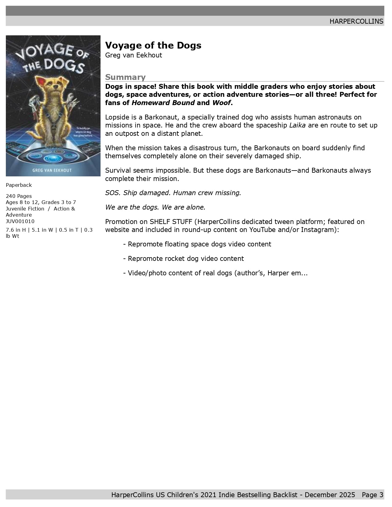 12 Days of Christmas Book Adventure (Ages 8-12)